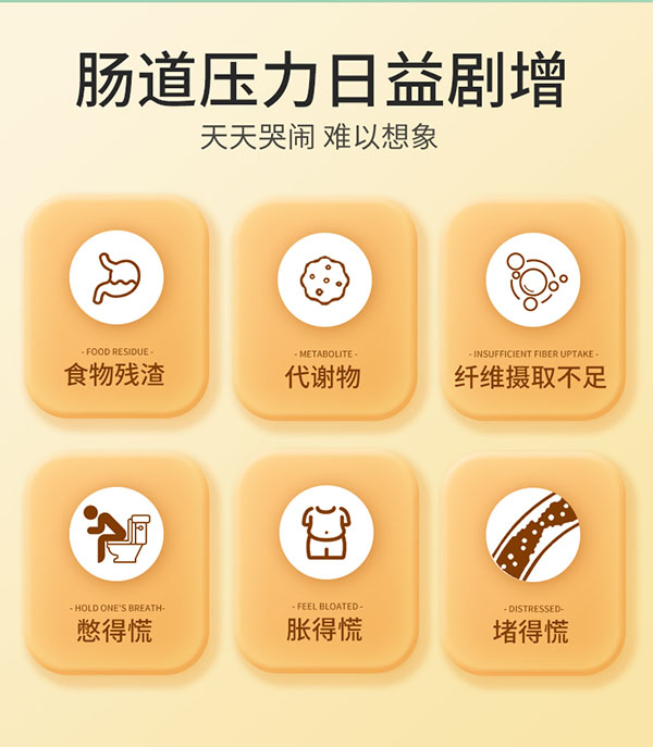 圣諾熊順暢菠蘿酵素固體飲料詳情圖 (2).jpg