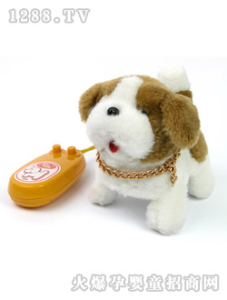 ��֮��RCʥ��{