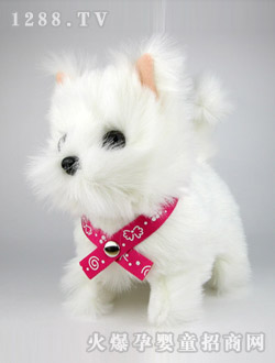 ��֮����������