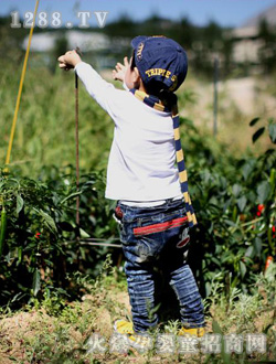 ����������ţ��ѝ